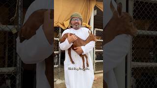 السفر صار أسهل مع الطيران العُماني وتسهيل 🇴🇲✈️