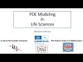 Pde modeling in life science context