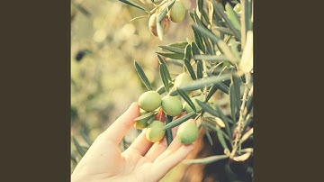 Scintillating Relaxing Day