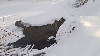 16 12 24г . По снегу .   Тарханка