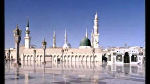 محمد شوكت سورة الحجرات