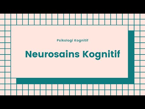 Psikologi Kognitif Kelompok 1 : Neurosains Kognitif