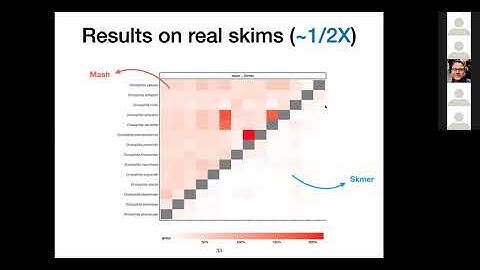 A tutorial on skimming (Skmer, APPLES, MISA).