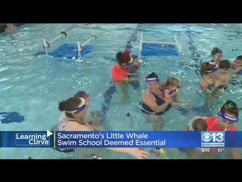 Sacramento's Little Whale Swim School Deemed Essential