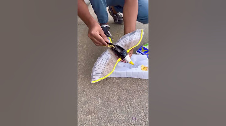 New model rc bird unboxing and testing