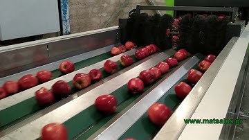 Γραμμή ταξινόμισης & συσκευασίας μήλων - Apples sorting & packing line for apples - GeoSort Greefa