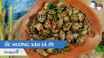 Hướng dẫn cách làm Ốc hương xào sả ớt với #Feedy | Feedy VN