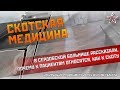 Скотская медицина. Шокирующие подробности из Пензенской области