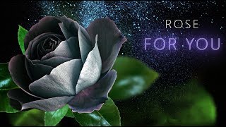 💖 Rose for you💖Best wallpaper images love💖 screenshot 1