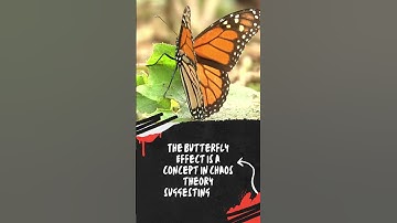 Unraveling Chaos: The Butterfly Effect Explained! 🦋🌪️. #shorts #dailyfacts #didyouknow  #amazingfact
