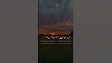 لا تيأس من رحمة الله #quran #اكسبلور #المصحف #قرآن #راحة_نفسية #قران_كريم #سورة_الزمر #أحمد_خضر