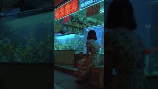 金魚で満ちた街 | Goldfish Oversupply City　 #dreamcore #ambient #liminalspace