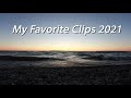 My Top Wildlife Video Clips of 2021