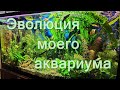 Эволюция моего аквариума