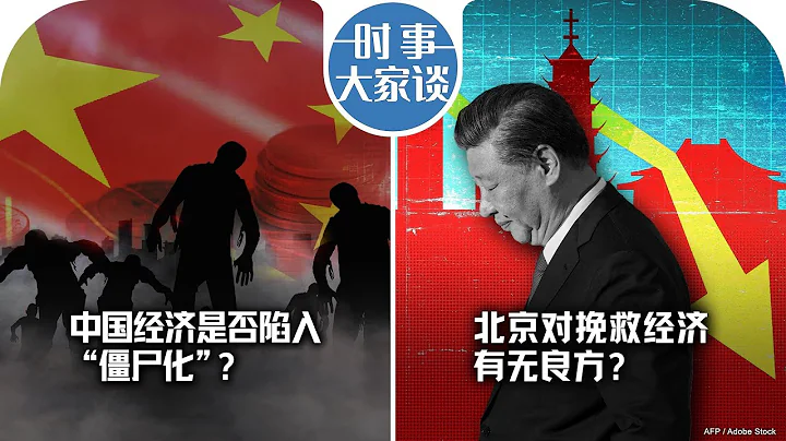 12/14【时事大家谈】中国经济是否陷入“僵尸化”？北京对挽救经济有无良方？ - 天天要闻