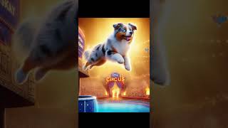 My trick dog in a pixar film #australianshepherd #dog #dogbreeds #aussie