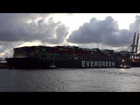 The 400M long Full Loaded EVER GIVEN in Rotterdam after accident in Suez Canal #248