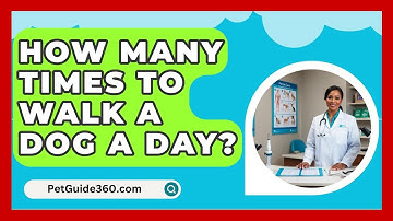 How Many Times To Walk A Dog A Day? - PetGuide360.com