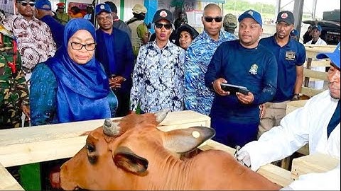 WANAWAKE NA VIJANA KUWEZESHWA KUPITIA SEKTA YA KILIMO MIFUGO NA UVUVI