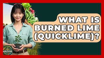 What Is Burned Lime (Quicklime)? - The World of Agriculture