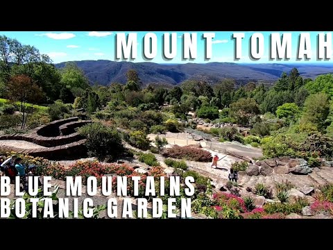 Video: Mount Tomah Botanic Garden kuvaus ja valokuvat - Australia: Sydney