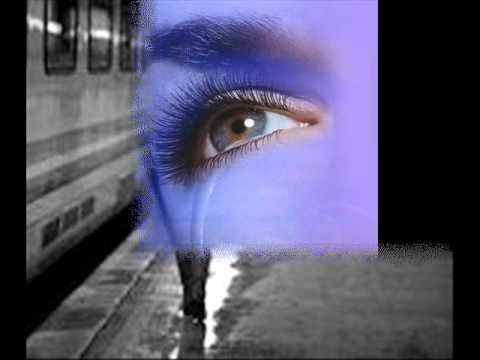 قطرات الندى