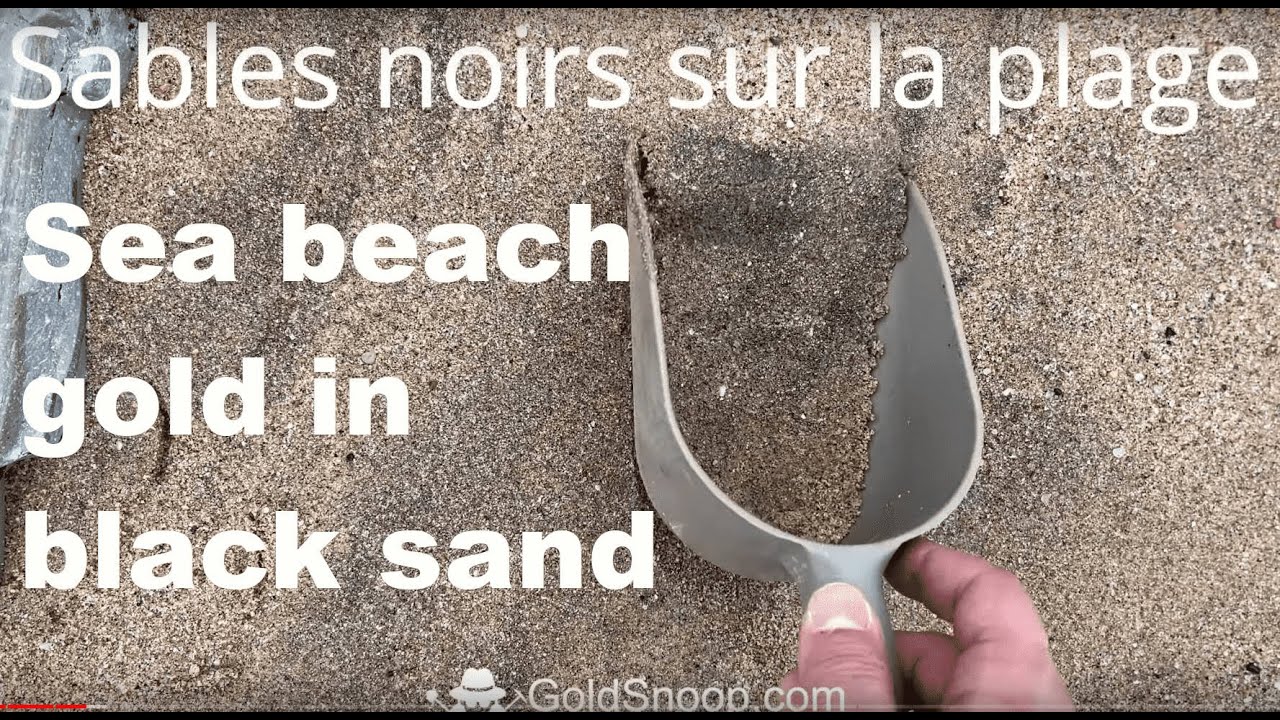 Chercher de l'or dans les sables noirs d'une plage d'un littoral au — free download