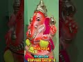 Happy vinayagar chaturthi l new sachin tailor