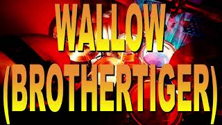 DrumCover #526 - BrotherTiger: WALLOW by Sebastian Krupnik