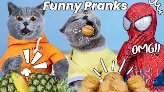Funniest Oscar Best Tiktok Compilation 🤣💥| Oscar‘s Funny World | Cute And Funny Cat TikTok