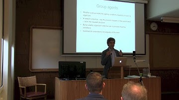 ENPOSS 2016: Christian List - What is it like to be a group agent?