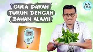 TIPS MENURUNKAN GULA DARAH/DIABETES SECARA ALAMI - DOKTER SADDAM ISMAIL screenshot 4