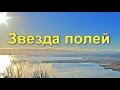 Николай Рубцов "Звезда полей" песня Марины Мудрук