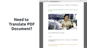 How to Translate a PDF to Any Language | Lingvanex Translator for PDF Document