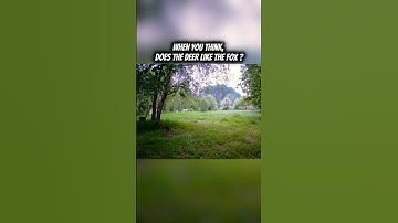 when you think?? ☠️