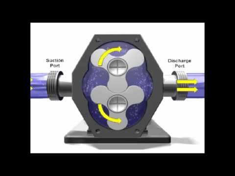 Rotary Pump