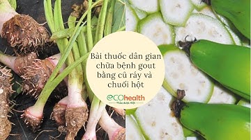 Bài thuốc dân gian chữa bệnh gout bằng củ ráy và chuối hột