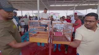 DAVID VS SURESH REGION 6 TOWA TOWA BIRD SINGING COMPETITION WINNER IS SURESH
