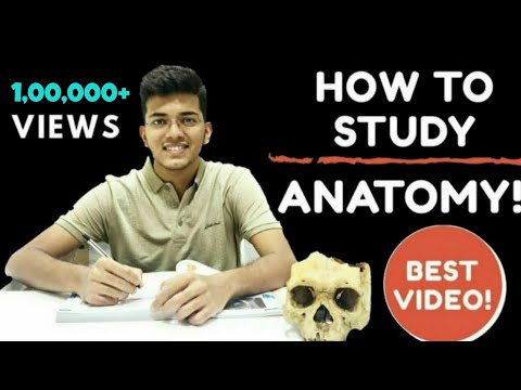 چگونه آناتومی را به طور موثر مطالعه کنیم! تکنیک های حفظ، ساختن اصول اولیه و نکات تمرینی!