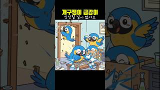 장난꾸러기 금강이