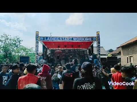 The Molotovs LIve at sala Planta Baja, Granada 01/12/25 / punk, garage \u0026 mod band from London