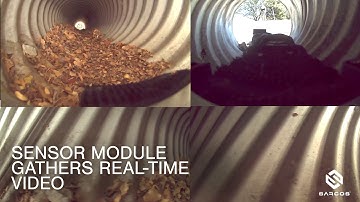 Guardian S: 360°  View