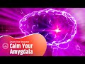 Calm Your Amygdala: Reduce Anxiety &amp; Fear With Soothing Music | Lessen Fear Response