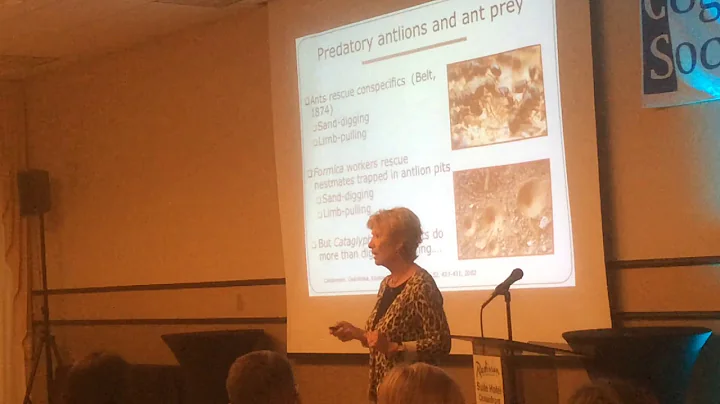 CO3 2016 - Master Lecture - Karen Hollis