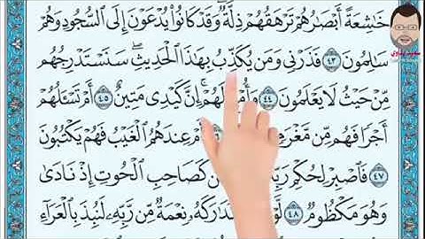 سورة القلم من آية ٤٤- ٤٨