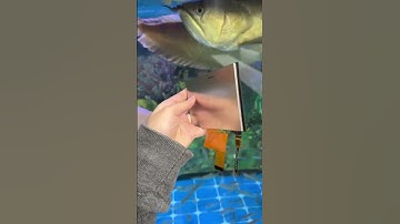 50041C #tftlcd #display #amoled