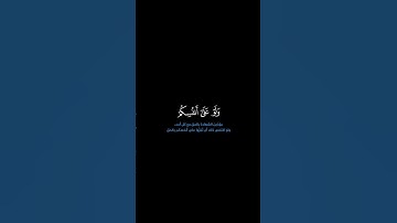 سورة النساء: الآية [ ١٣٥ ] #القرآن_الكريم #الفرقان #سورة_النساء #ياسر_الدوسري #قرآن #تلاوة #آيات