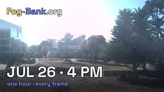 FogCam · July 26, 2026 · 4 pm PT · one hour, every frame