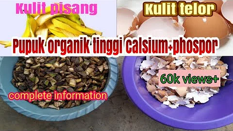 Co je popel jako výtečné hnojivo?