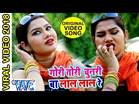 गोरी तोरी चुनरी बा लाल लाल रे (ORIGINAL SONG) Gori Tori Chunari Ba Lal Lal Re - Vishal Dubey